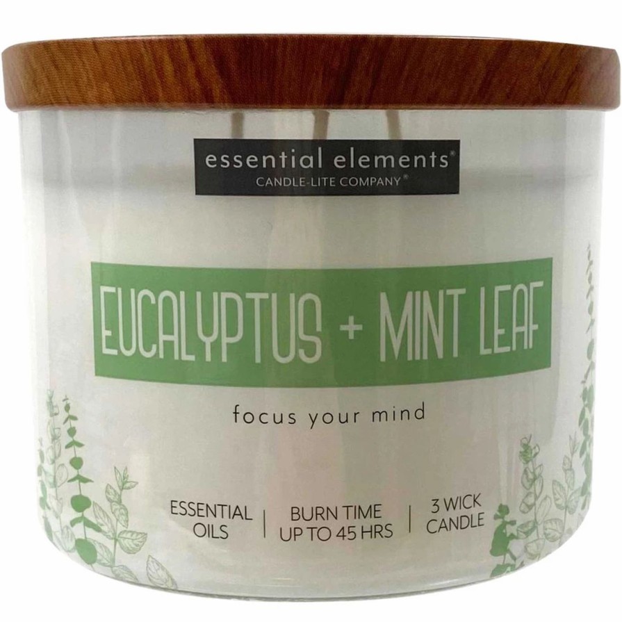 Home Decor * | Brand New Candle-Lite Essential Elements Eucalyptus And Mint Leaf Jar Candle 14.75 Oz.