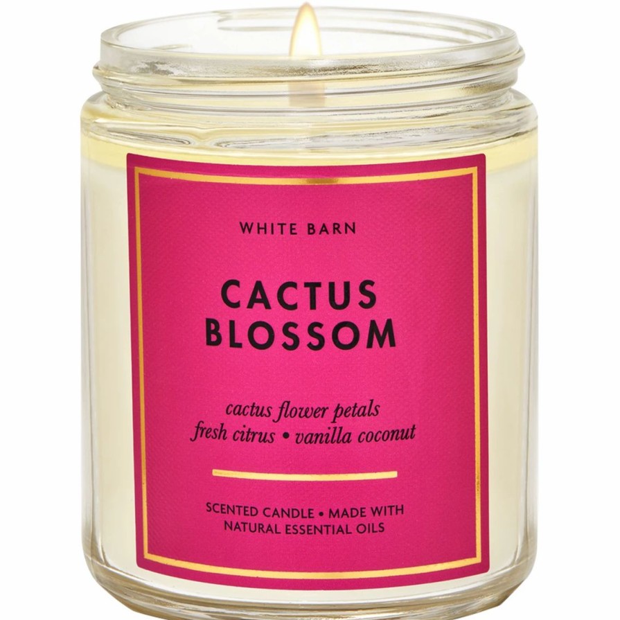 Home Decor * | Wholesale Bath & Body Works Cactus Blossom Single Wick Candle