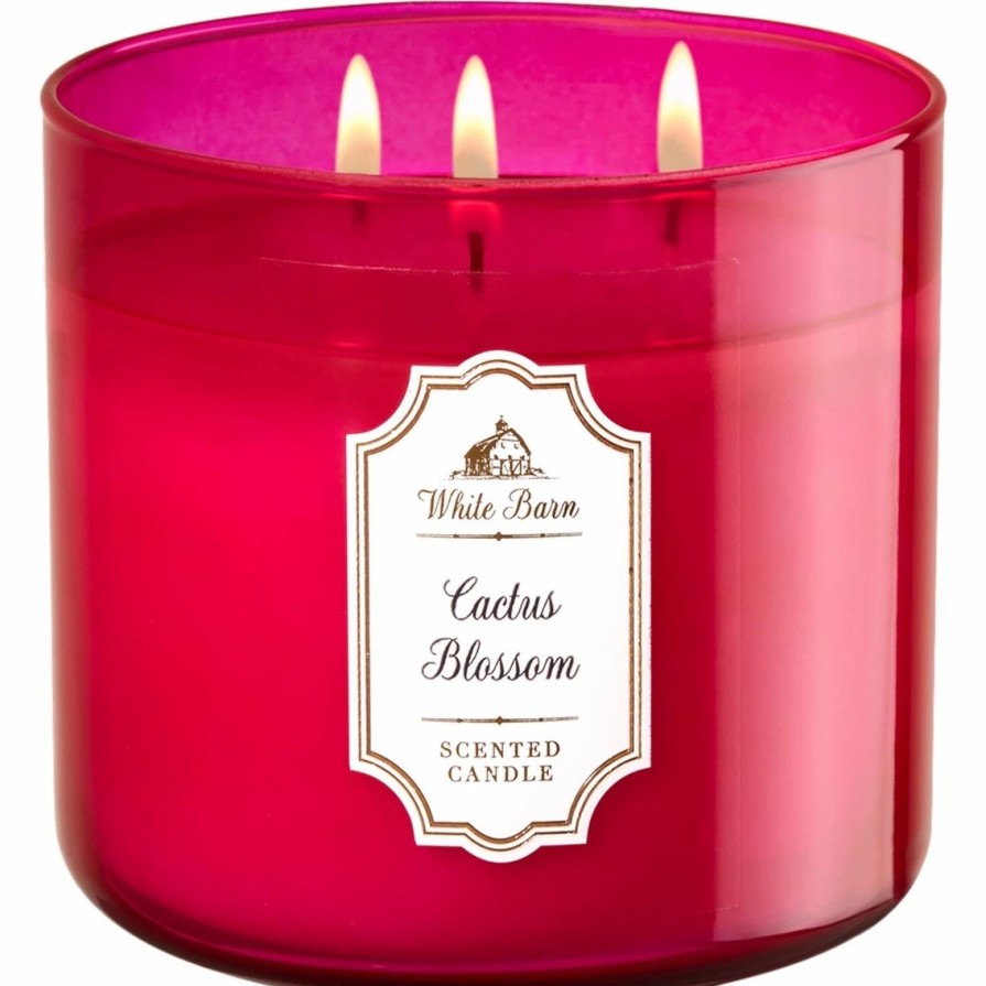 Home Decor * | Brand New Bath & Body Works Cactus Blossom 3 Wick Candle