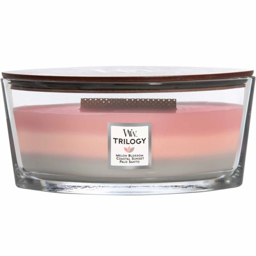 Home Decor * | Cheapest Woodwick Ellipse Shoreline Trilogy Candle