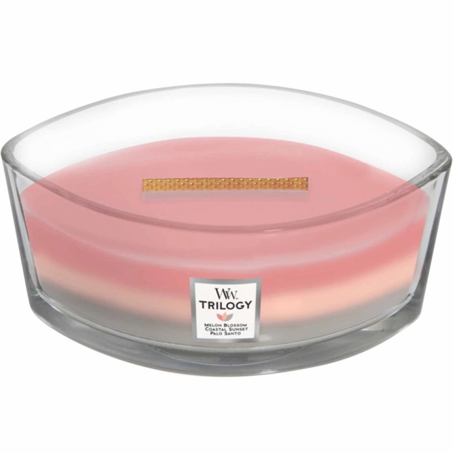 Home Decor * | Cheapest Woodwick Ellipse Shoreline Trilogy Candle