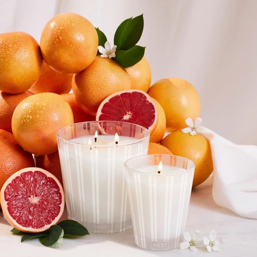 Home Decor * | Deals Nest New York Nest Fragrances Grapefruit Votive Candle