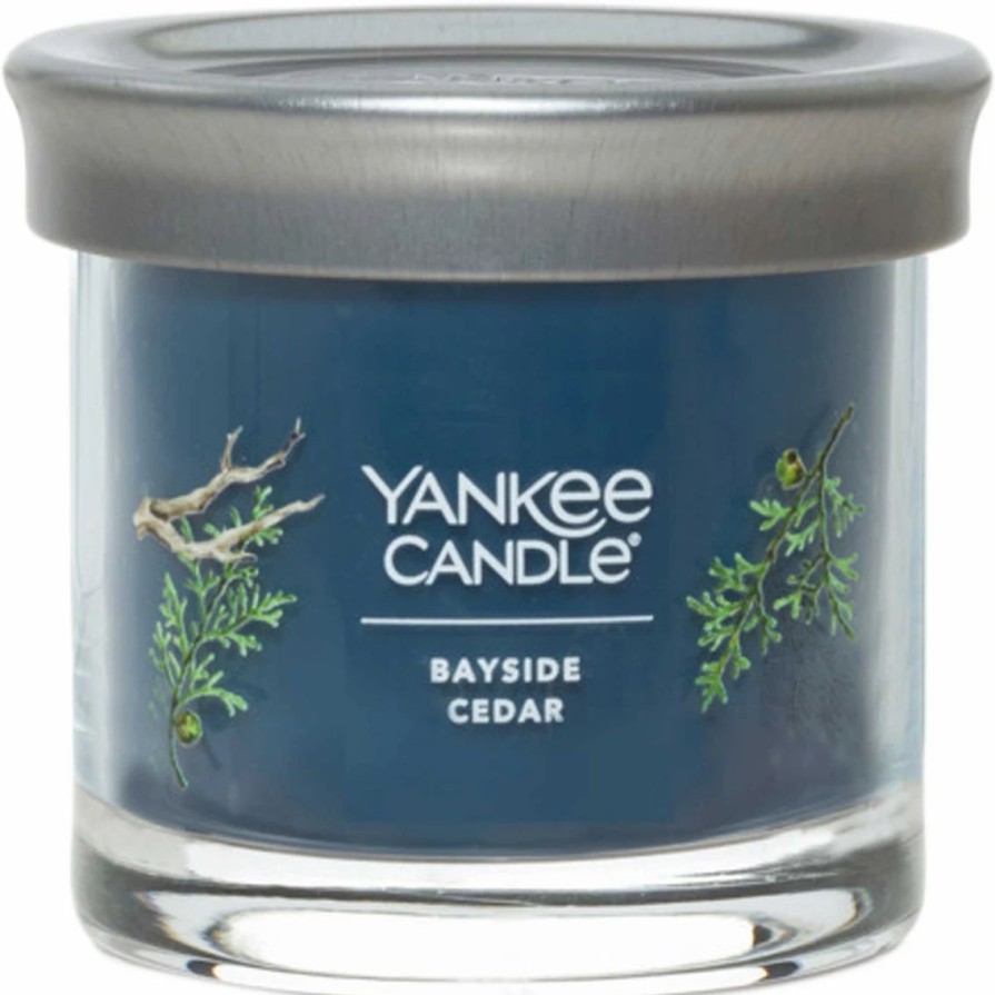 Home Decor * | Flash Sale Yankee Candle Bayside Cedar Signature Small Tumbler Candle