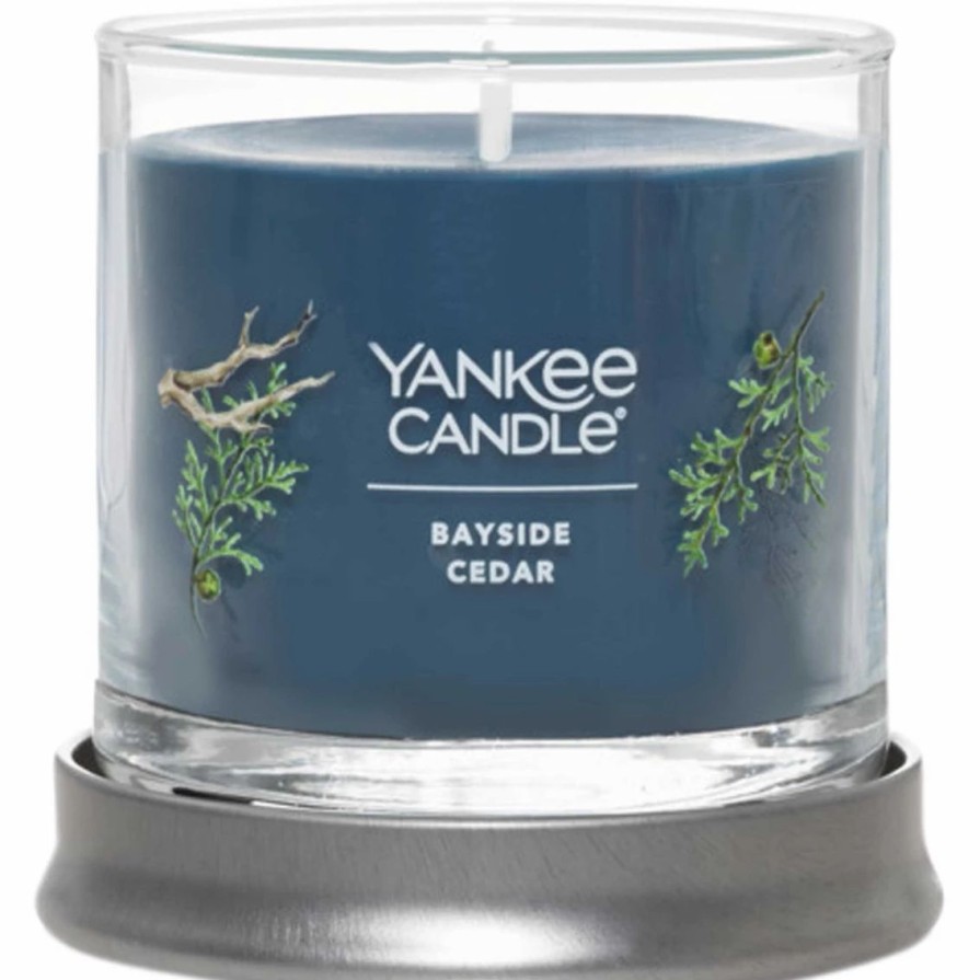 Home Decor * | Flash Sale Yankee Candle Bayside Cedar Signature Small Tumbler Candle