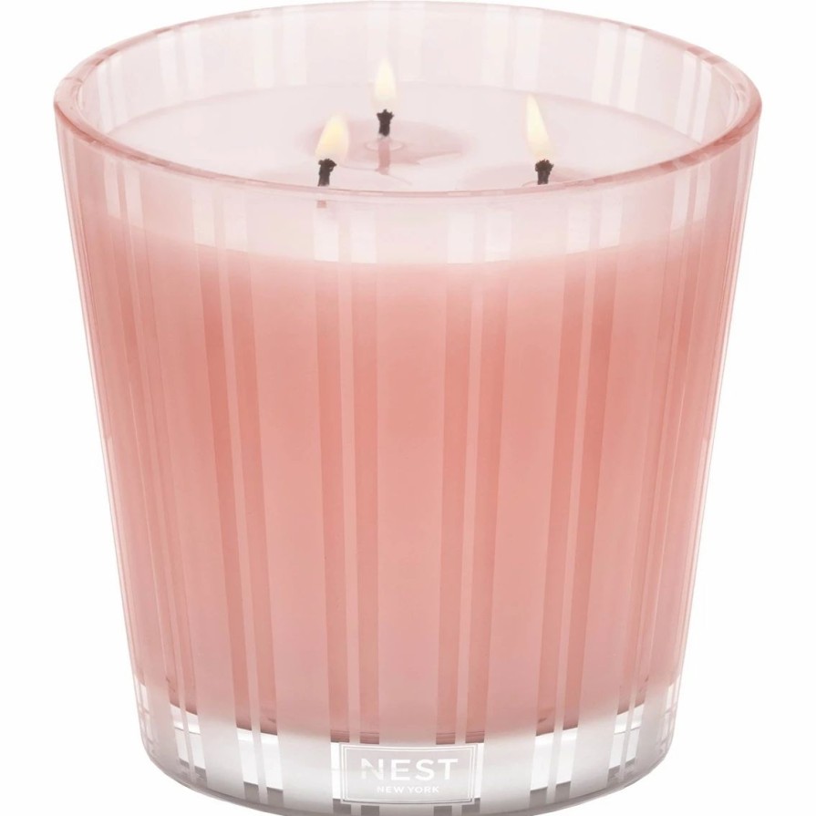 Home Decor * | Buy Nest Fragrances New York Himalayan Salt And Rosewater 3 Wick Candle